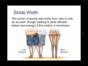 Timing and Spacing in Walks