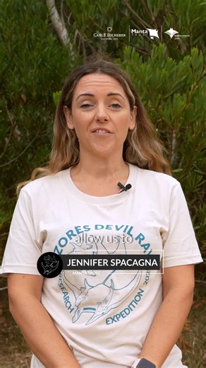 2.7K views · 50 reactions | 錄 Azores Devil Ray Research Expedition...