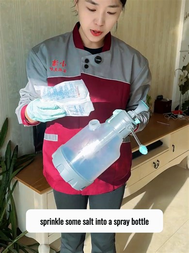 Streak-Free Window Cleaning Tips by Xiaojie