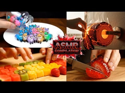1 Hour AI ASMR Compilation | For Sleep, Study, Relax (Typing, Animals, Beds & More) 1 Hr No Talking