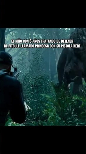 es Nerf o nada 🗣️🗣️🗣️ #humor #memes #risa #comedia #pitbull
