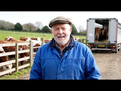 How Cow Leather Is Made – Complete Process From Farm to Factory | Leather Manufacturing Documentary