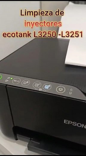 Cleaning the Epson EcoTank L3250 - L3251 Printer Nozzles