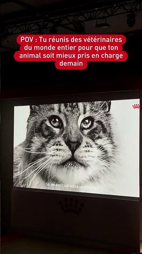 Le Vet Symposium : un événement international qui réunit des vétérinaires du monde entier 🥰 #animal