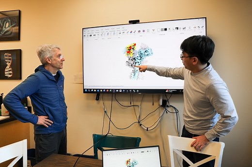 OHSU researchers identify key trigger behind brain disorder often mistaken for mental illness