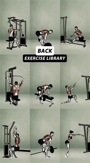 Ultimate Back Training Guide | Best Exercises for Growth