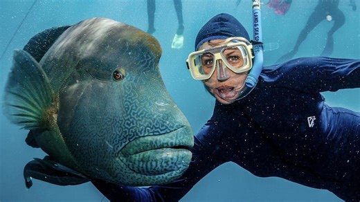 The Threat of Climate Change to Global Biodiversity and Ecosystem Services