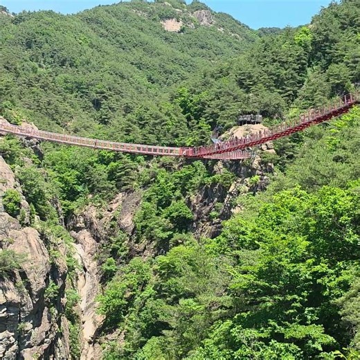 186☆ Geochang Anti-Aging Healing Land (At the Y-shaped Suspension Bridge Observatory...) 6. (Geoc...