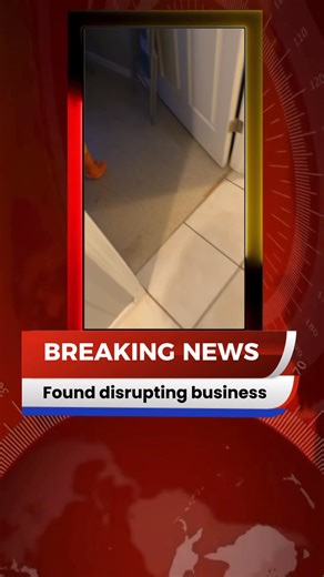 Breaking News from The Retreat! We are reporting live 🤣🤣🤣 | The Retreat Massage & Wellness Center, LLC