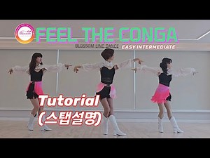 {TUTORIAL} FEEL THE CONGA Line Dance (Staff Instructions)