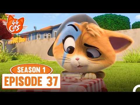 44 Cats Episode 37 - Sir Archibald, Gentlecat 🐱🎩 | Season 1