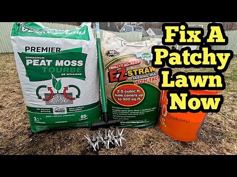 How To Quickly Repair A Patchy Lawn