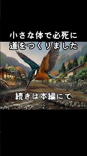 川と生きる青い鳥 カワセミ #野鳥 #雑学 #動物 #自然 #鳥
