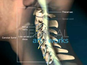 3D Medical Animation | Male Normal Cervical Spine Anatomy
