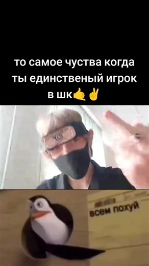 #всемпохуй #🐧 #пингвин #рекомендации #пантера | penguins