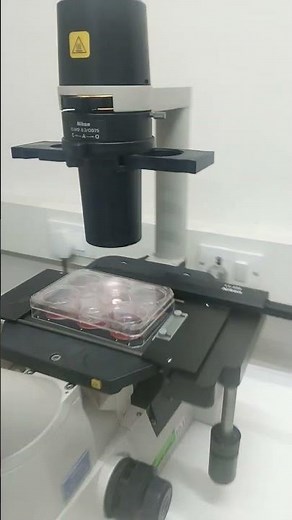 Bright Field light microscope #science #science #microscope #cellculture