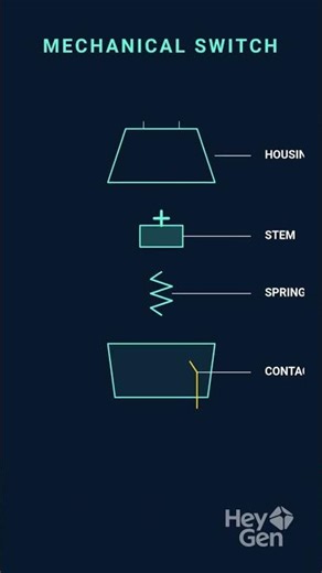 Mechanical Keyboard Masterclass