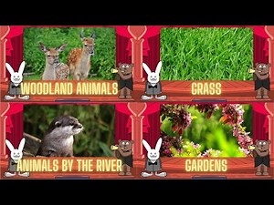 Classical Baby Woodland Animals, Grass, Animals by the River, Gardens by Oxbridge Baby