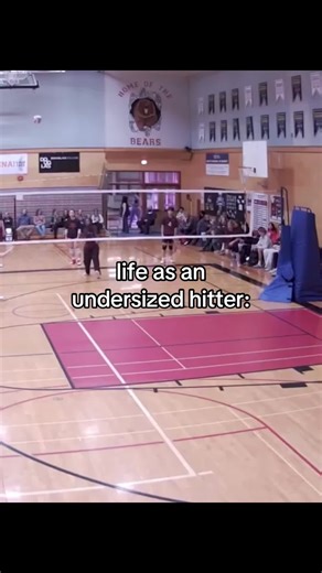 having the highest vertical in canada helps #08 #fyp #volleyball #vertical