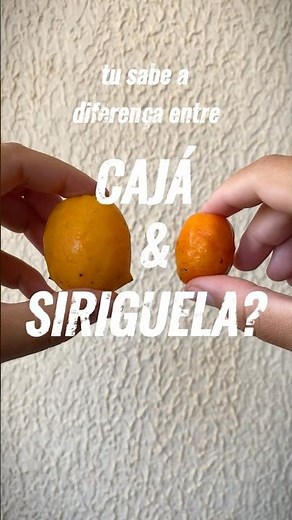 CAJÁ VS. SERIGUELA: qual a diferença entre o cajá e a seriguela? #frutas #comidabrasileira