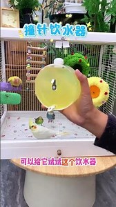 Do you know why your pet bird is always getting sick? You'll understand after reading this!...