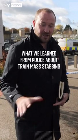 Train mass stabbing: what we've learned from police