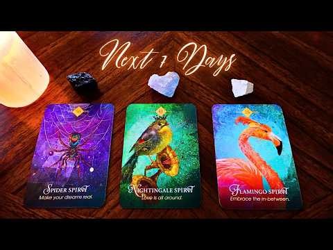 Messages for the Next 7 Days💗Pick a Card✨😘✨