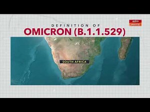 Where did the Omicron variant come from?