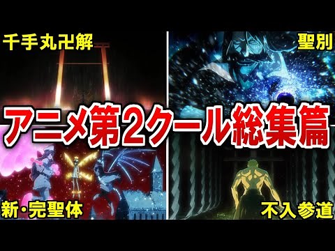 【BLEACH】原作勢の知らないシーンが多すぎた…！アニメ第２クール総集篇【ブリーチ解説】