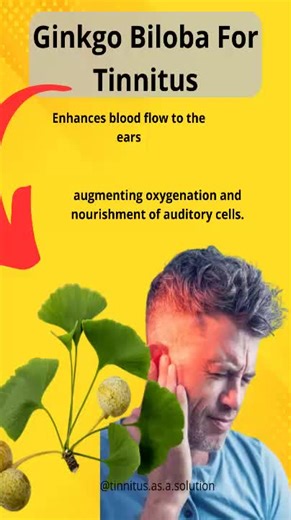 Ginkgo Biloba for tinnitus click on the link in the bio of this profile and learn more #home_remedies_for_tinnitus_relief , #tinnitus_relief, #natural_remedies_for_tinnitus, #home_remedies_for_ringing_ears, #home_cure_for_tinnitus