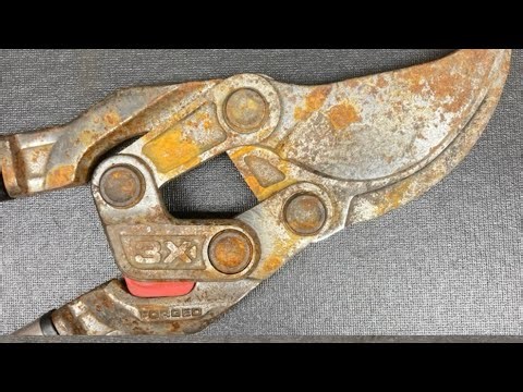 Rusty lopper restoration/tool restoration how-to!