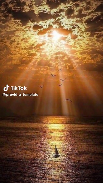 2 張 #CapCut #cc提供模板