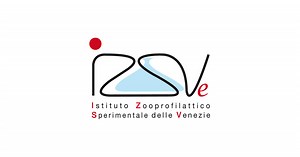 Next Generation Sequencing