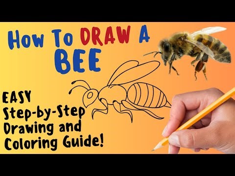 How To Draw A Bee - EASY Step by Step Drawing and Coloring Guide