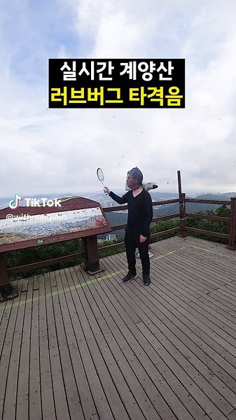 러브버그 전기파리채: 타격음 레전드와 함께하는 모험