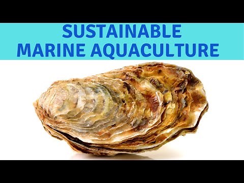 Sustainable Mariculture Best Marine Aquaculture for California