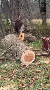 131K views · 753 reactions | From MASSIVE Log to Fresh Lumber #lumber #makinglumber #sawmill #sawmilling | Out of the Woods Forestry | Facebook