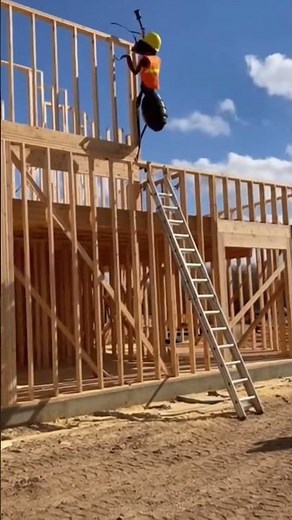 How Giant Ants Build Better Than Humans #satisfying #ants #construction