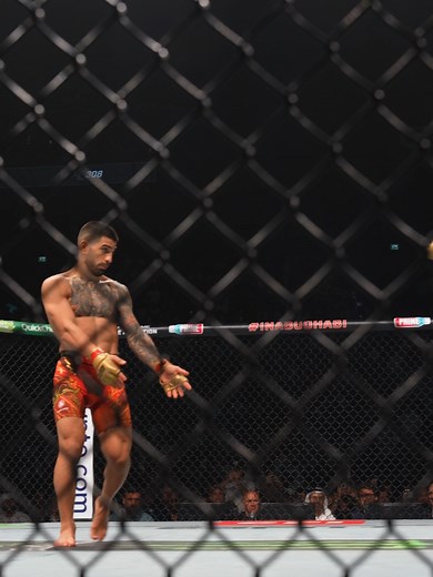 Topuria vs Holloway Fight Highlights | UFC 308