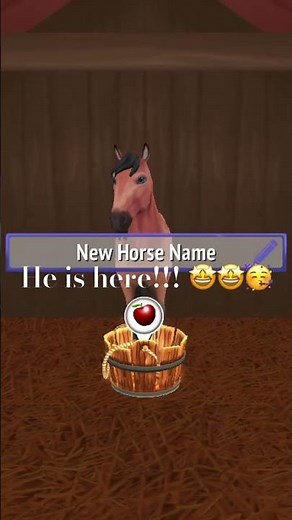 He is here! Breeding update- horse riding tales (hrt)- flaming wolves 🐺