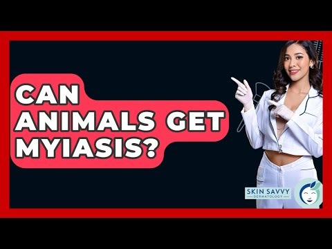 Can Animals Get Myiasis? - Skin Savvy Dermatology