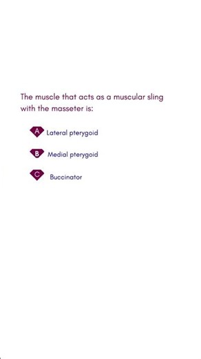The muscle that acts as a muscular sling with the masseter is #medicalexamguide