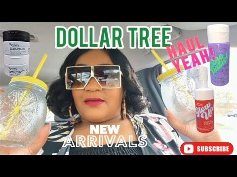 Dollar Tree New Arrivals Car Haul | Dollar General Ashley Belle New Finds + Review