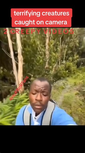 Terrifying Humanoid Creature Caught on Camera | Alien or Skinwalker?