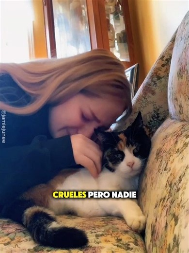 Girl spends her final moments with her cat🐈❤️#cat #love #shorts #fyp #pets