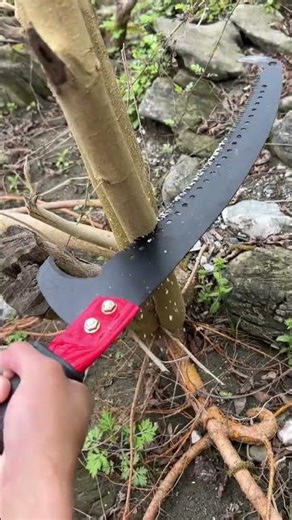 High-Altitude Pruning Saws: Effortless Tree Trimming Made Safe