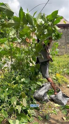 The money machine 😱😱😳😳