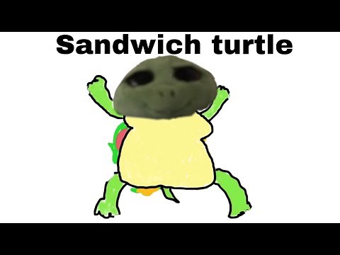 Beanie boo music video sandwich turtle (hug a turtle sequel)