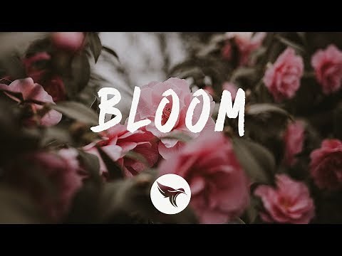 Dabin - Bloom (Lyrics) ft. Dia Frampton