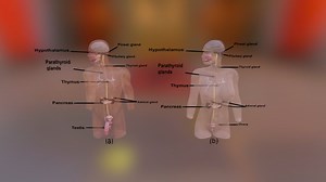 FIG 7.7 - 3D model by Virtual Reality (@simulanis)